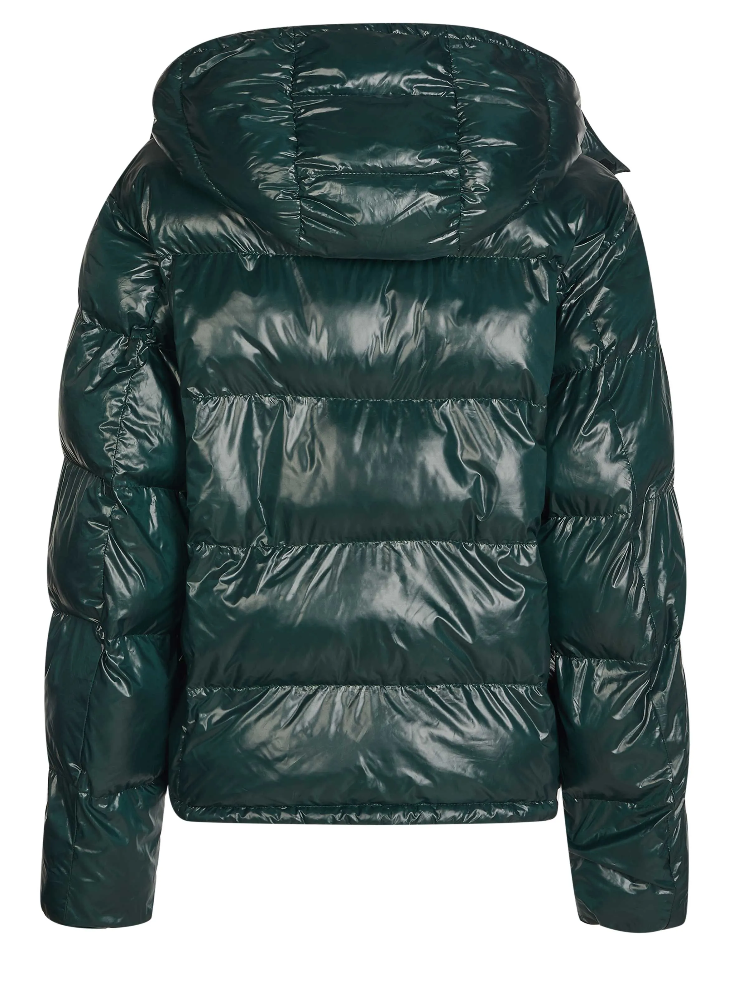 Champion Jacket forest green