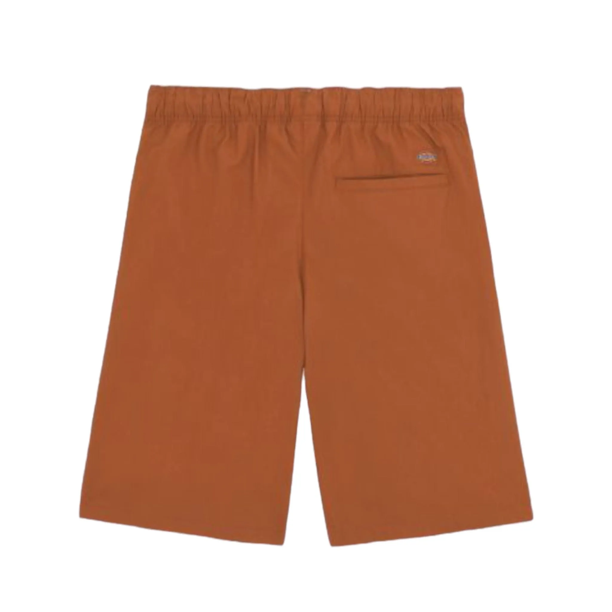 Light Brown Mocha Dickies Fishersville Shorts