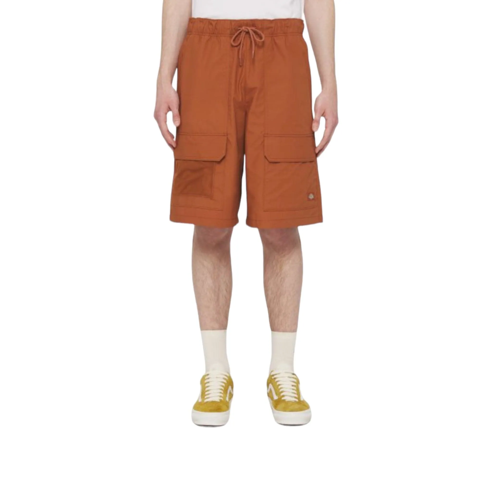 Light Brown Mocha Dickies Fishersville Shorts